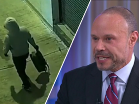 January 6 pipe bomb investigation: FBI's Bongino says 'closing in' on suspects
