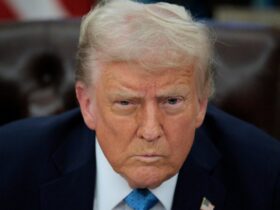 Judge Steals 1 Of Trump’s Moves To Emphasize How Dumb His Executive Order Is
