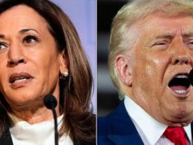 Kamala Harris Torches Trump Over ‘Reckless Tariffs’