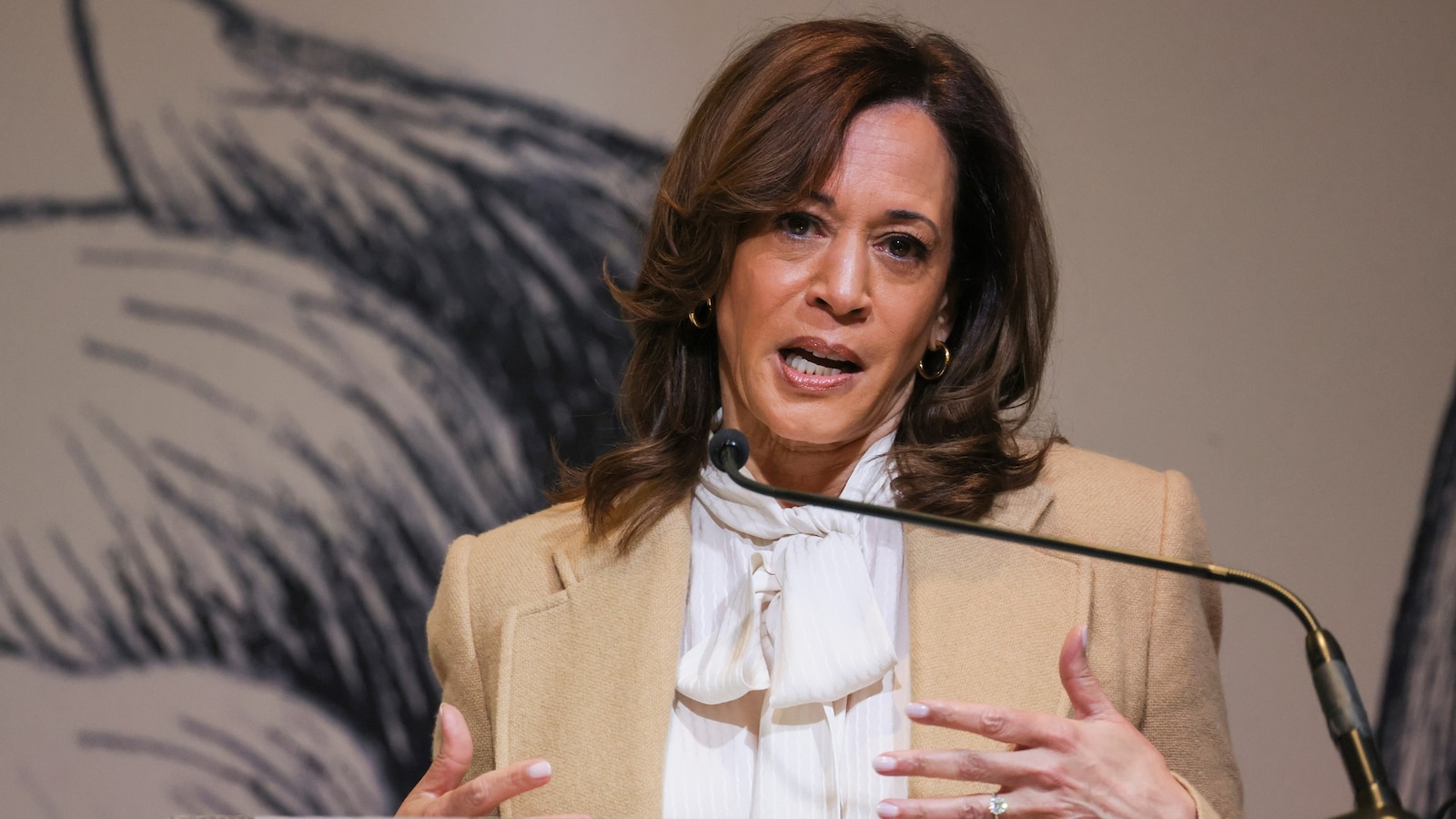 Kamala Harris steps back into limelight as Trump celebrates his first 100 days