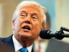 Lawrence O'Donnell Predicts 'Stupid' Trump's Next Big Loss