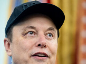 Musk Jokes About Macron's Wife When Asked About Black Eye He Says Son Gave Him