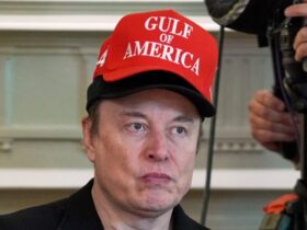 Musk drug use on campaign trail sparked concerns: Report