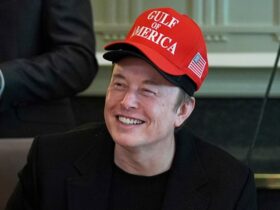 Musk says he and Trump agree ‘80 percent of the time'