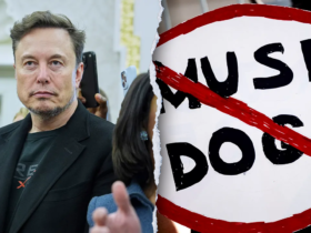 Musk's DOGE fell short on its promises, but it can still succeed: expert
