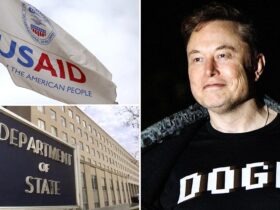 Musk's State Department reforms will remain under Trump despite departure