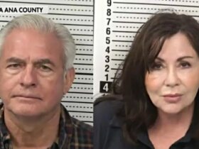 NM judge, wife who allegedly harbored illegal gang member released on bond