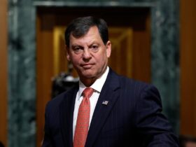 New head of Social Security, hired from Wall Street, tells staff he had to Google the job when he was offered it
