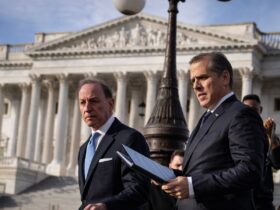 Newly launched law firm says it will represent those 'inappropriately targeted' by Trump