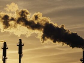 Oil companies face a wrongful death suit tied to climate change : NPR