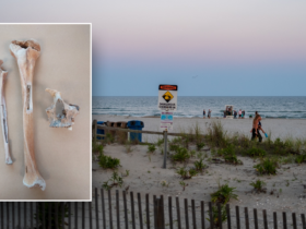 Ramapo College students solve 179-year-old mystery of Jersey Shore bones
