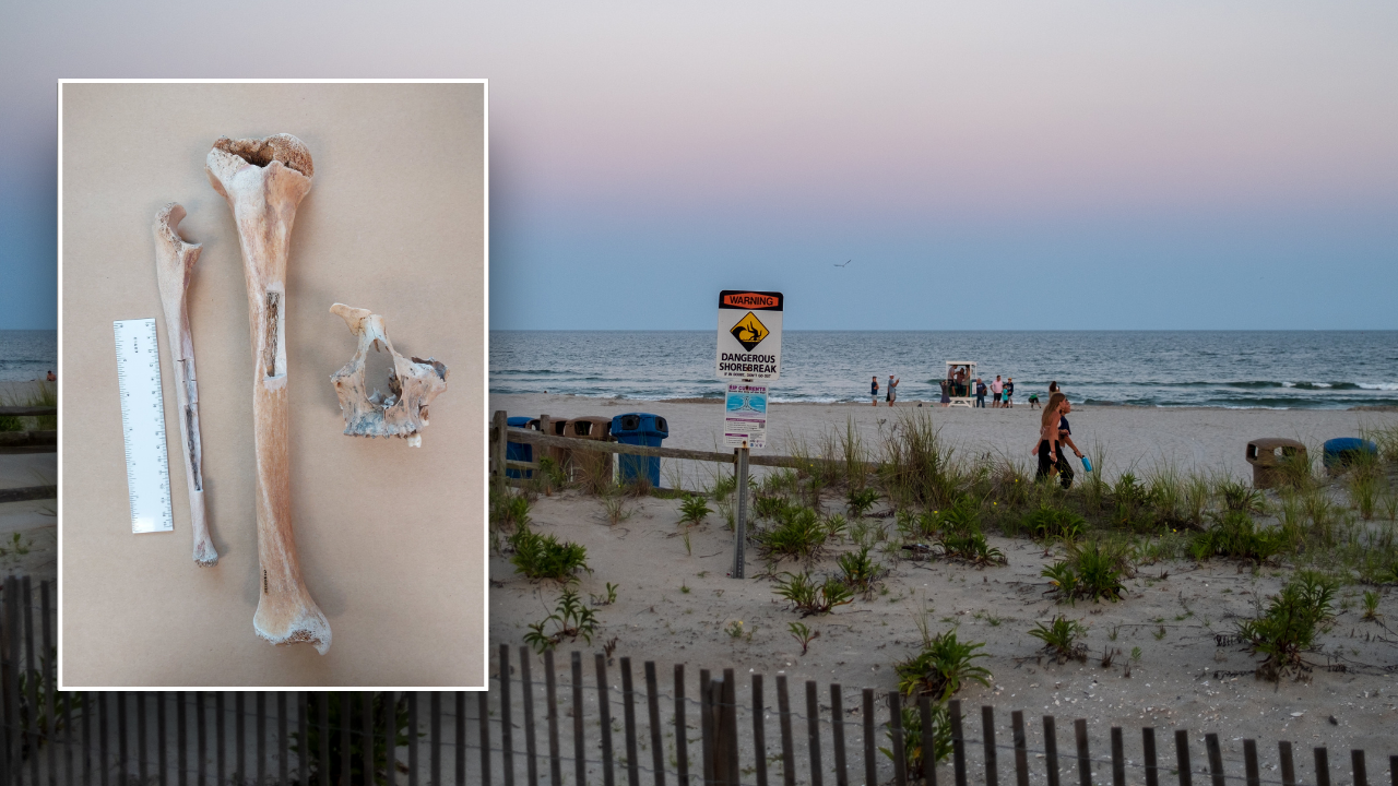 Ramapo College students solve 179-year-old mystery of Jersey Shore bones