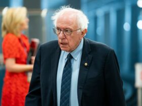 Sanders on GOP Medicaid cuts: 'Thousands and thousands of low-income and working people will die'