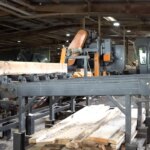 Sawmills recycle Hurricane Helene debris, reducing wildfire threat