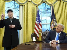 Senate Democrats urge Trump to investigate 'self-dealing' Musk