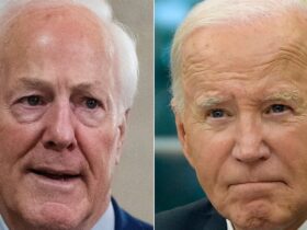Senate Republicans plan hearing on Biden's perceived cognitive decline