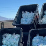Sinaloa Cartel Cell Behind Largest Fentanyl Seizure in U.S. History