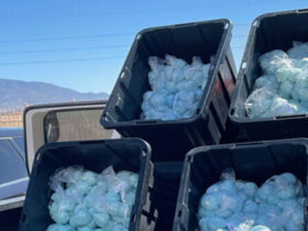 Sinaloa Cartel Cell Behind Largest Fentanyl Seizure in U.S. History