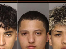 Six Illegal Migrants Charged with Murdering Woman