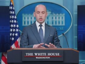 Stephen Miller says the Washington press corps is acting as 'shills for MS-13 terrorists'