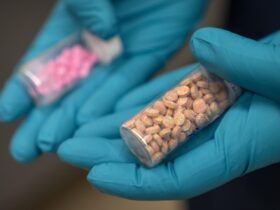 Study finds illegal synthetic opioid use higher than reported under Biden
