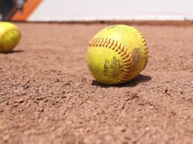 Trans pitcher leads Minnesota high school to state softball playoffs