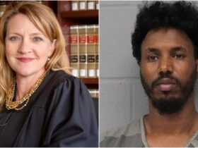 Travis County Judge SLASHES Bond from $1.2 Million to $7,000 for Foreign Trucker Who Killed 5 Including a Baby in Fiery Austin Crash | The Gateway Pundit