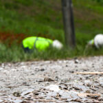 Truck Overturns, and Millions of Dimes Spill Onto Texas Highway