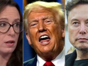 Trump 'Clearly' Wants To Avoid 1 Thing With Elon Musk, Says Maggie Haberman