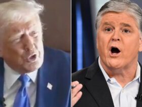 Trump Toadying To Hannity Has Social Media Cringing: 'This Is Revolting'