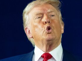 Trump Town Hall Audience Laughs Over 1 Very Unlikely Claim