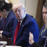Trump bashes 'fake polls' and touts November win