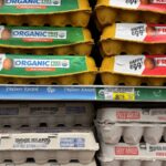 Trump says egg prices are falling. Some experts say the claim is misleading.