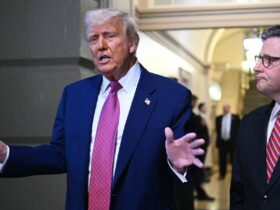 Trump urges House Republicans not to mess with Medicaid amid push to pass bill advancing his agenda: Sources