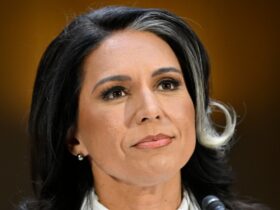 Tulsi Gabbard won’t rule out another run for president - after her failed Democratic bid in 2020