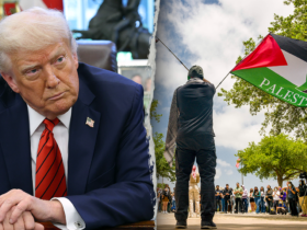 Universities suddenly addressing antisemitism after Trump win, professor reveals