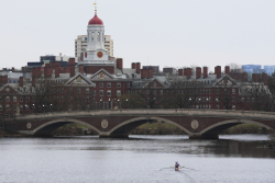 What Happens When Harvard Can't Be Harvard