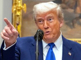 Winners of Trump's meme coin contest potentially include foreign investors