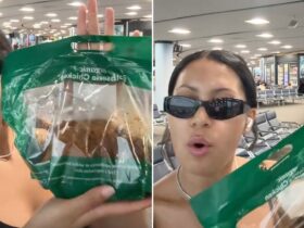 Woman brings whole rotisserie chicken as carry-on bag and surprises TSA agents
