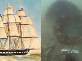 Wreckage of 19th century Dutch ship found off Australia: 'Significant discovery'