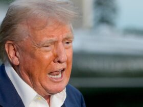 ‘Snowflake’ Trump Mercilessly Mocked As His Newest Legal Claim Backfires Spectacularly