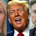 1 Subtle Barb In Trump-Musk Blow-Out Has Dana Bash Saying ‘Wow, Wow, Wow’