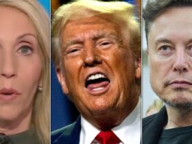 1 Subtle Barb In Trump-Musk Blow-Out Has Dana Bash Saying ‘Wow, Wow, Wow’
