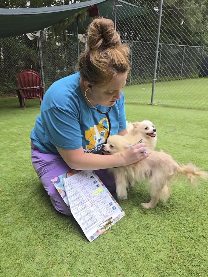 101 dogs living in packed, filthy conditions removed from North Carolina home