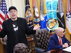 5 winners from the Trump-Musk breakup