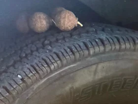 (Photo via: NYPD)