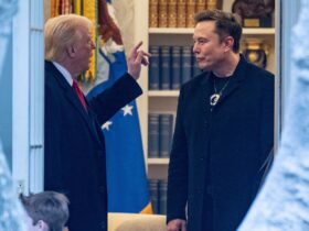 Could Musk-Trump feud stoke GOP divisions ahead of midterms? ANALYSIS