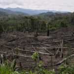 Cuts to USAID severed longstanding American support for Indigenous people around the world