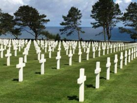 D-Day veterans share reflections at Normandy ceremony 81 years later
