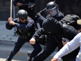 DHS arrests 'violent rioter' who allegedly punched CBP officer during LA riots